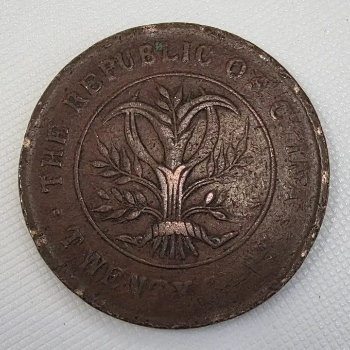 [BUNJANG] Unidentified Coin zk-1224 / 중화민국 호남성조 당제전 20문 쌍기 zk-1224