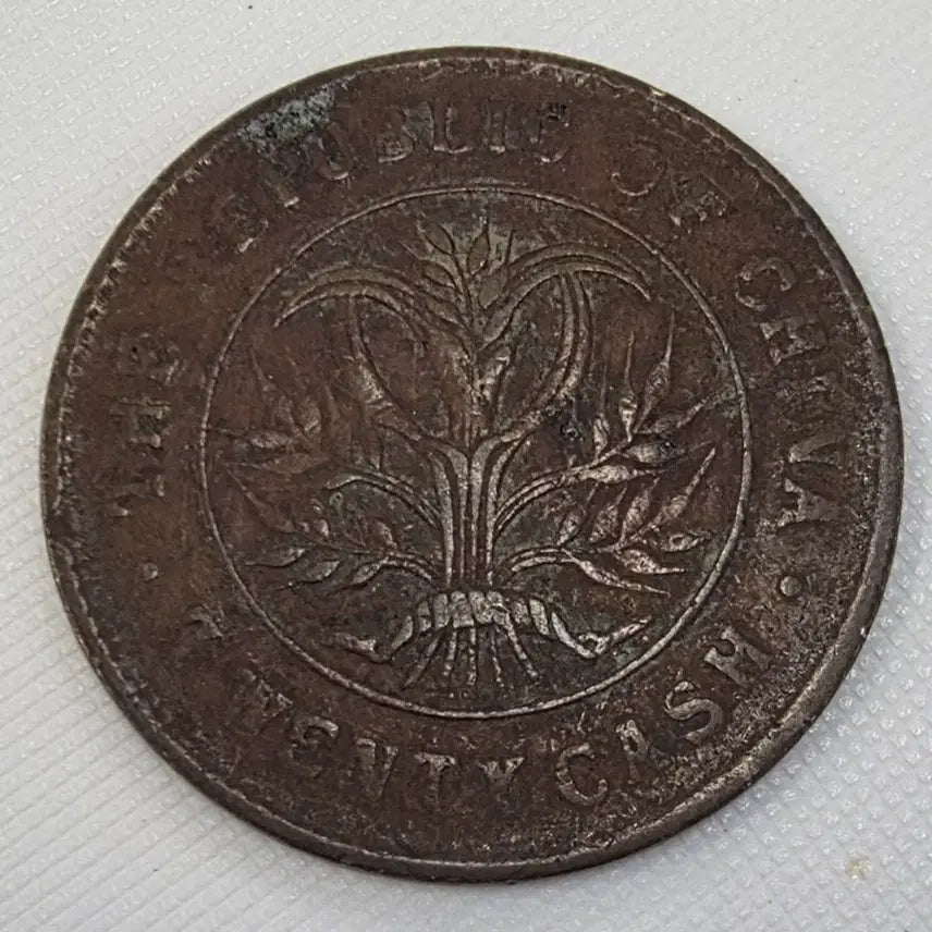 [BUNJANG] Unidentified Coin - ZK-1225 / 중화민국 호남성조 당제전 20문 쌍기 zk-1225