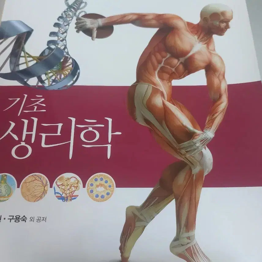 [BUNJANG] Physiology Textbook / 기초 생리학 Physiology 원서