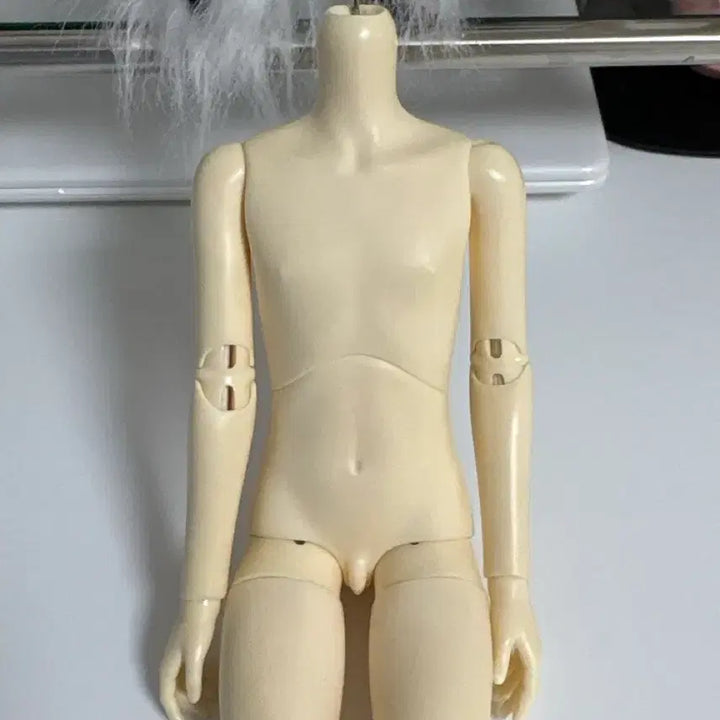 [SOLD OUT] 페어리캐슬 노멀 msd 남아바디