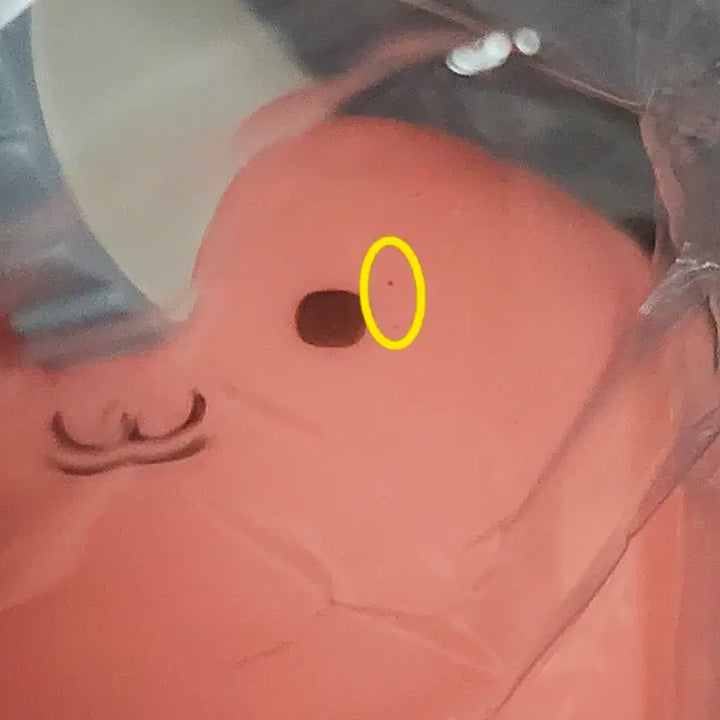 [BUNJANG] Chainsaw Man Denji & Pochita Chavi Chavi Set / 체인소맨 목욕 덴지 포치타 챠비챠비 세트