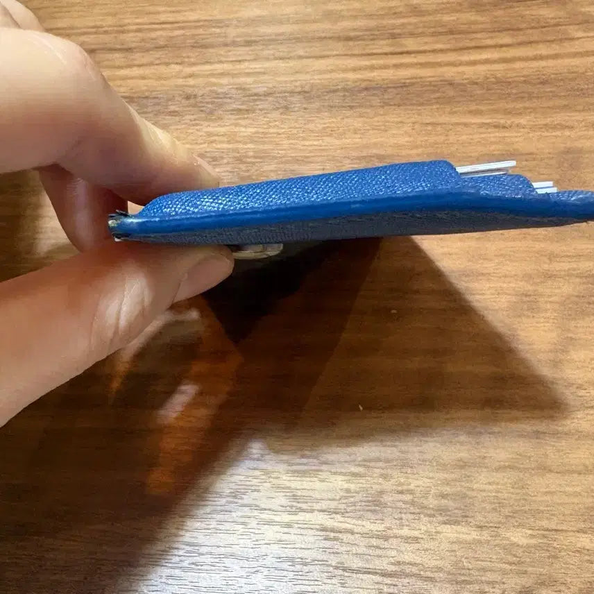 [BUNJANG] Minitmute Card Holder Denim / 미닛뮤트 카드지갑 (daisy card slot - denim)