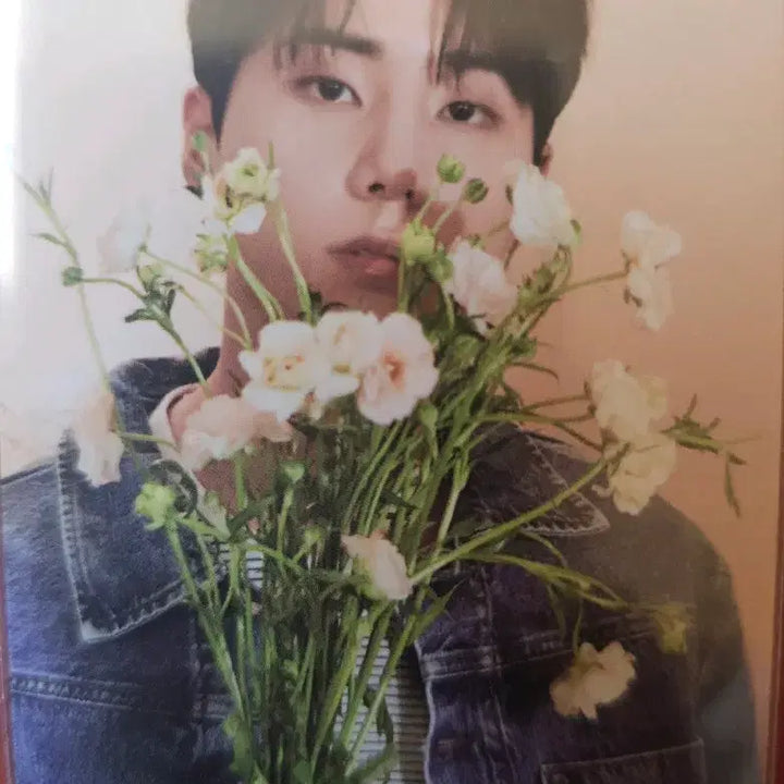 [BUNJANG] Young K Bundle Set Photocard / 영케이 포카 일괄