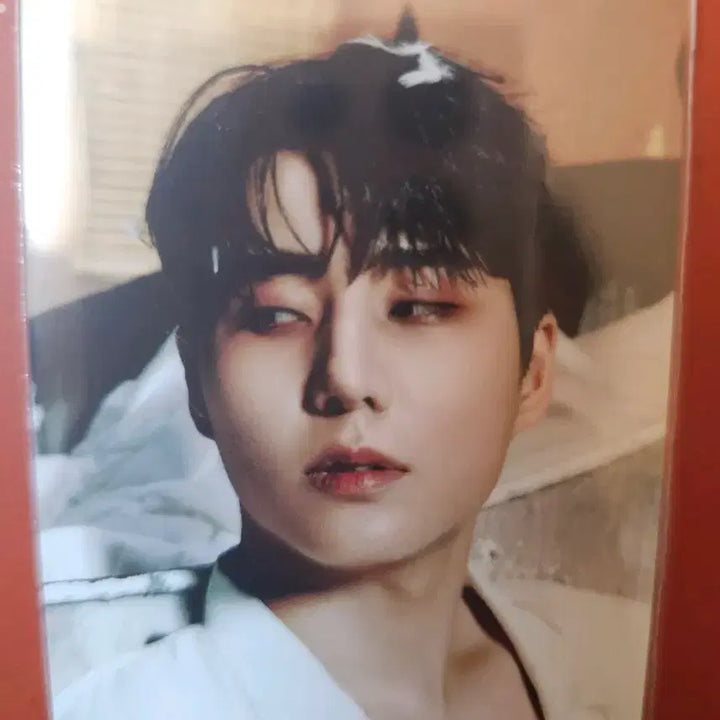 [BUNJANG] Young K Photocard Bundle Set / 영케이 포카 일괄