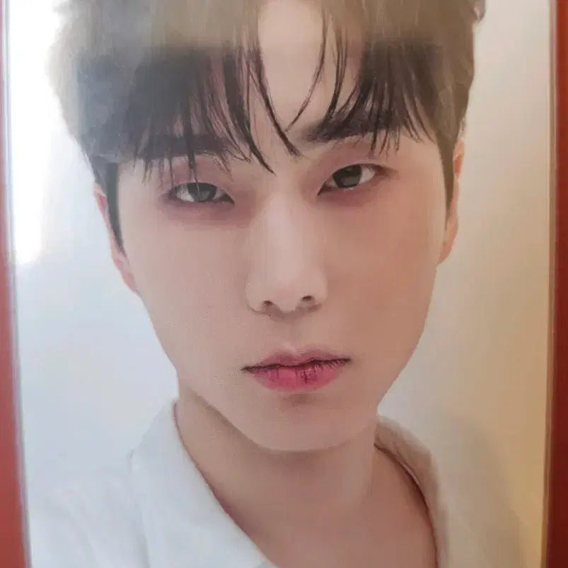 [BUNJANG] Young K Bundle Set Photocard / 영케이 포카 일괄