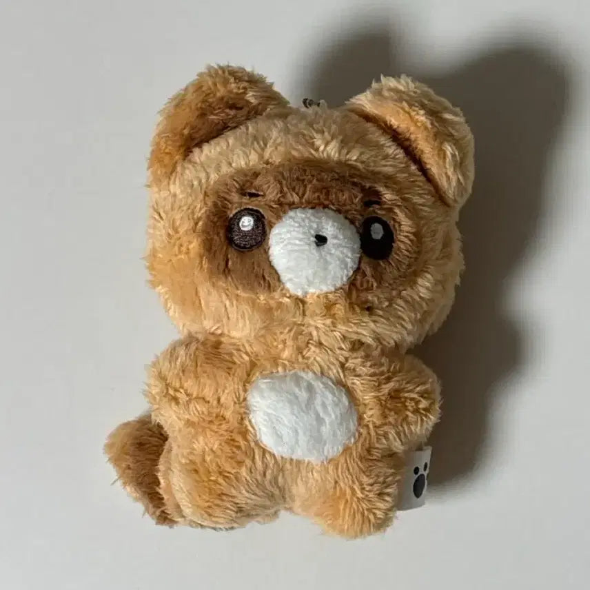 [BUNJANG] ZB1 Zhang Hao SomHao Plush / 제베원 장하오 솜하오