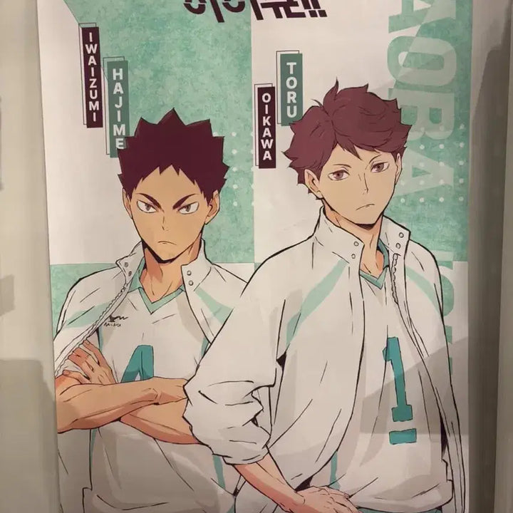 [BUNJANG] Haikyu Aoba Johsai Tapestry / (미개봉)하이큐 Hino A1 테피스트리 아오바 조사이
