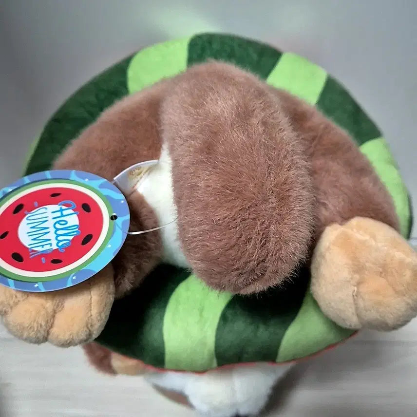 [BUNJANG] Rakko-san Watermelon Tube Otter Plush 25cm / 랏코상 수박튜브 수달인형 25cm 랏코