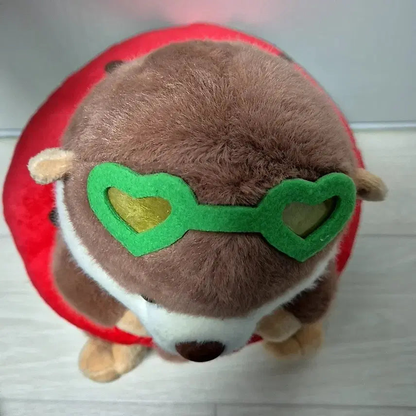 [BUNJANG] Rakko-san Watermelon Tube Otter Plush 25cm / 랏코상 수박튜브 수달인형 25cm 랏코
