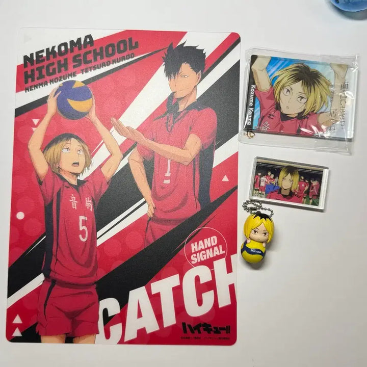 [BUNJANG] Haikyuu Kenma Bundle Set Acrylic Artboard / 하이큐 켄마 굿즈 일괄 미카사 스윙 가챠 네코마 아크릴 아트보드