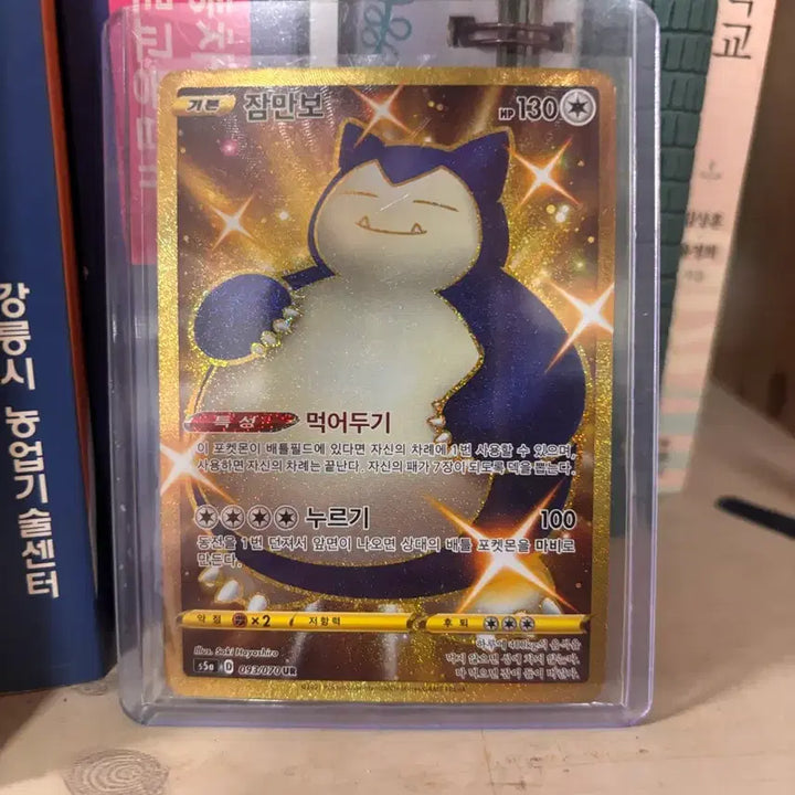 [BUNJANG] Pokemon Card Bundle Set / 포켓몬카드 판매