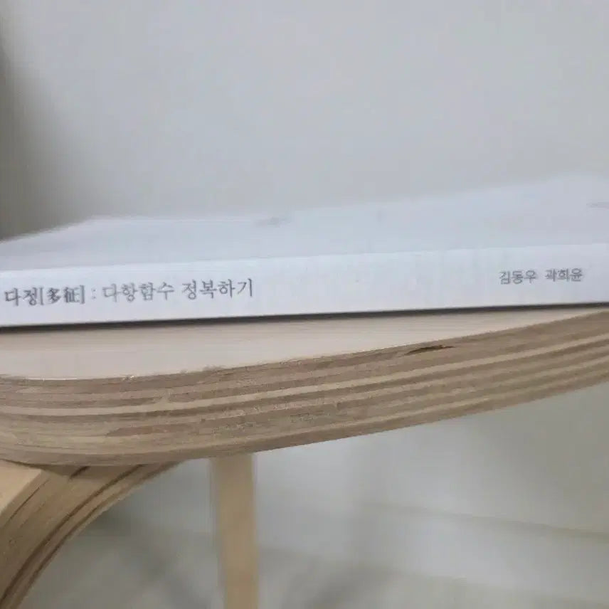 [BUNJANG] DaJeong Polynomial Conquest / 다정  다항함수 정복하기