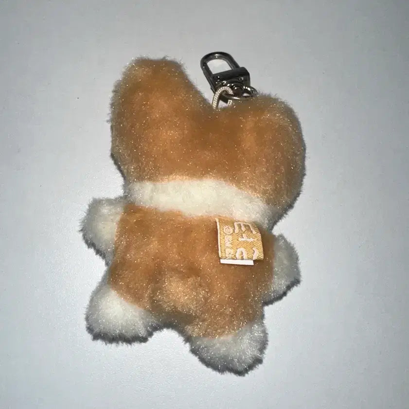 [BUNJANG] EXO Baekhyun Keyring / 백현 터래기 키링