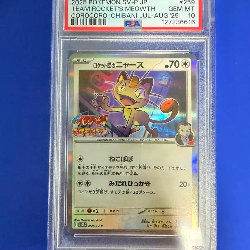 [SOLD OUT] 포켓몬카드 나옹 프로모 일판 PSA10