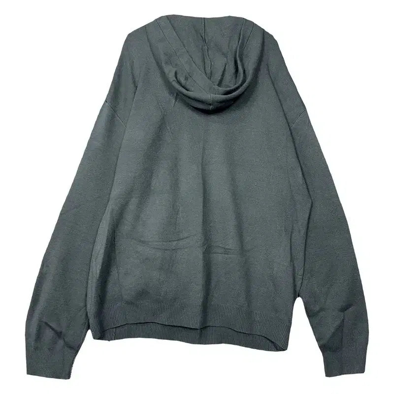 [BUNJANG] ZARA Casual Basic Hoodie L / 자라 캐주얼 무지 후드티 L