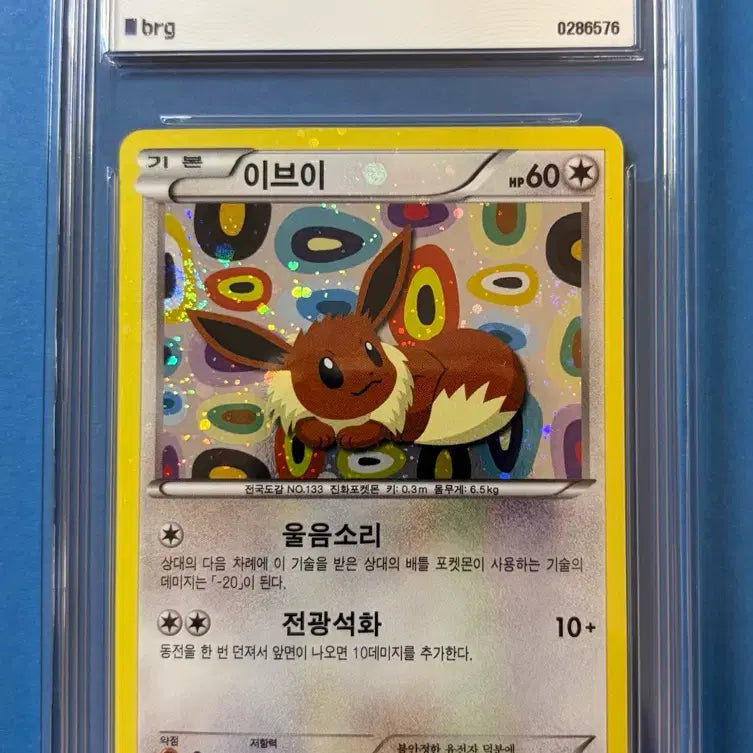 [SOLD OUT] 포켓몬카드 이브이 2080 BW 프로모 2014 brg8