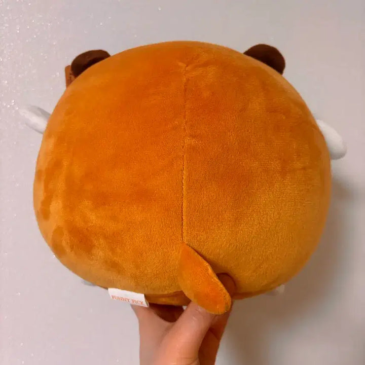 [BUNJANG] Vintage Popo Doll / 고전문구 고전 포포 인형