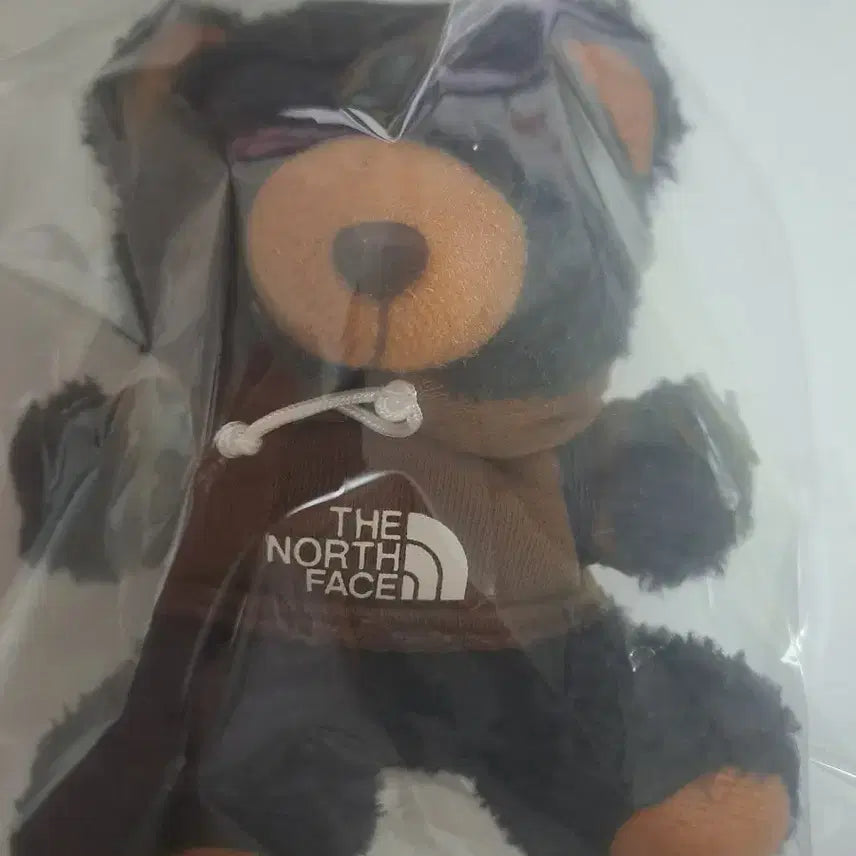 [BUNJANG] The North Face Bear Keyring / 노스페이스 곰인형 키링 새상품