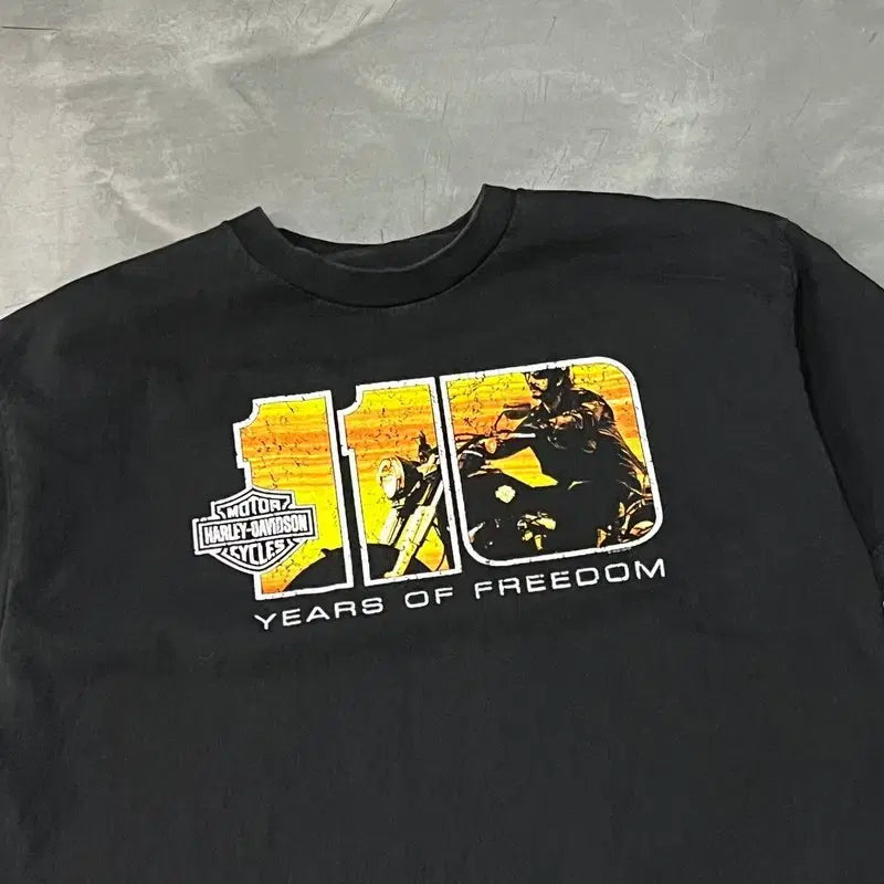 [SOLD OUT] 할리데이비슨 110주년 프린팅 반팔티 y15692