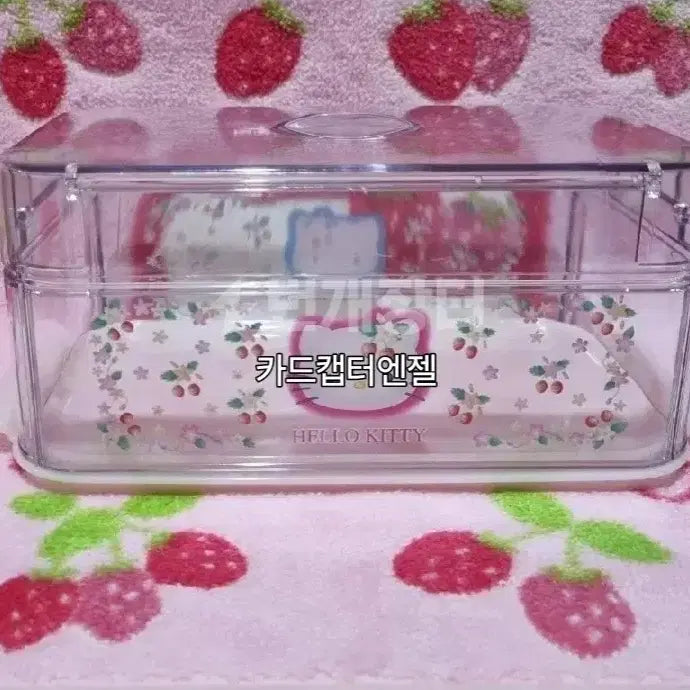 [BUNJANG] Hello Kitty Raspberry Canister Storage Box / 고전 키티 산딸기 캐니스터 보관함 수납함 문구