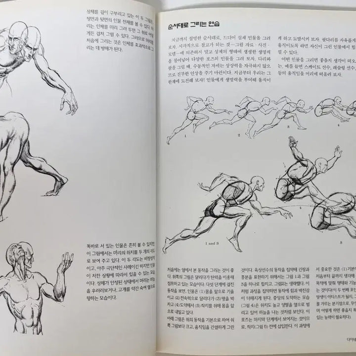 [BUNJANG] Drawing Technique Books 5-Book Bundle Set / (무료배송)인체 드로잉/미남 포즈집/만화그리기 작법서 등 5권 세트