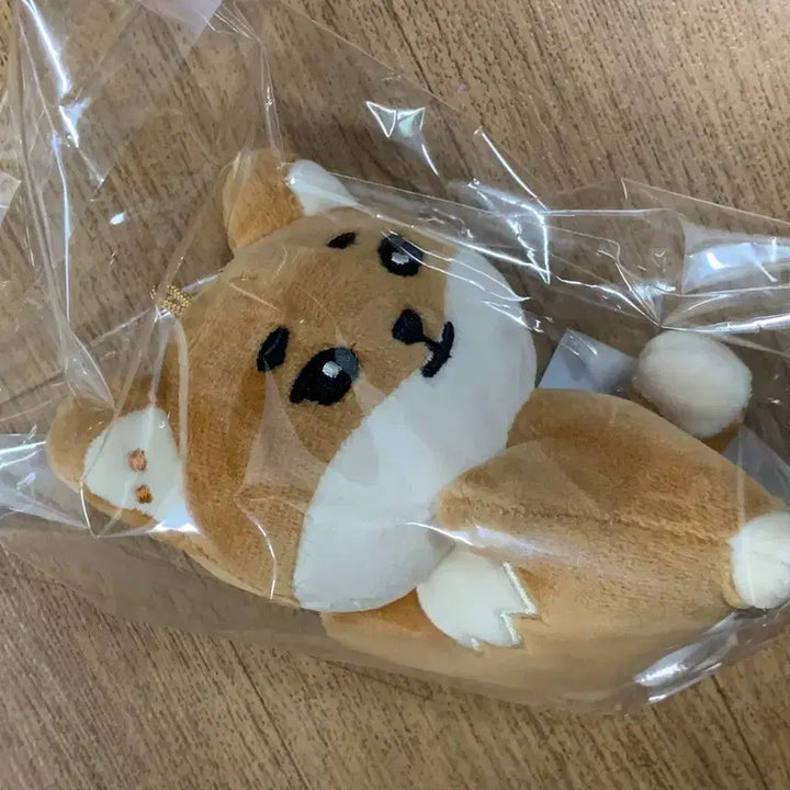 [BUNJANG] DAY6 Young K Hand Warmer / 데이식스 클콘 엠디 핸드워머