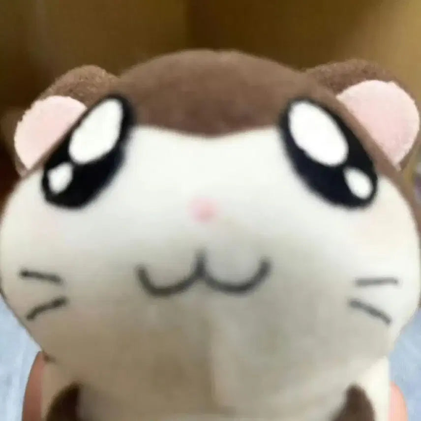 [BUNJANG] Tama and Friends Double-Sided Pouch / 타마와친구들 양면 파우치