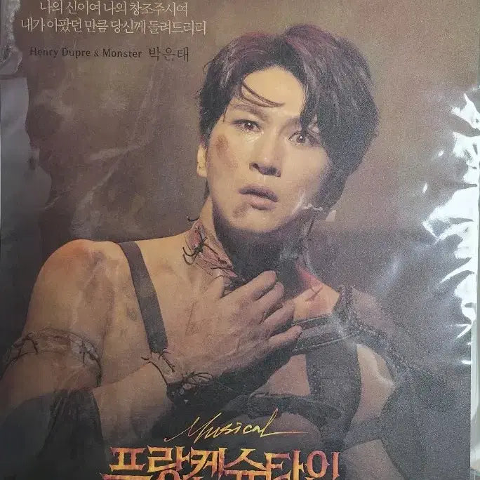 [BUNJANG] EMK Musical Frankenstein Park Eun-tae Poster / 프뮤라 괴물(박은태) 포스터