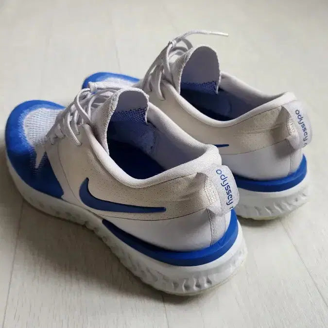 [BUNJANG] Nike Sneakers Odyssey React Flyknit 2 / 나이키 스니커즈