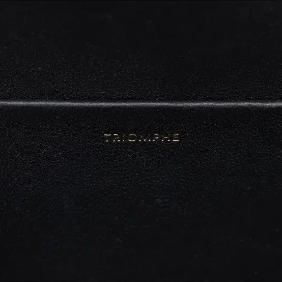 [BUNJANG] Celine Triomphe Black Shoulder Bag / 셀린느 트리옹프 블랙 숄더백