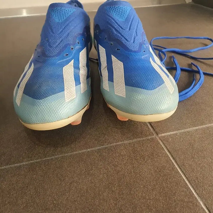 [BUNJANG] Crazy Fast HG / 크레이지패스트 hg