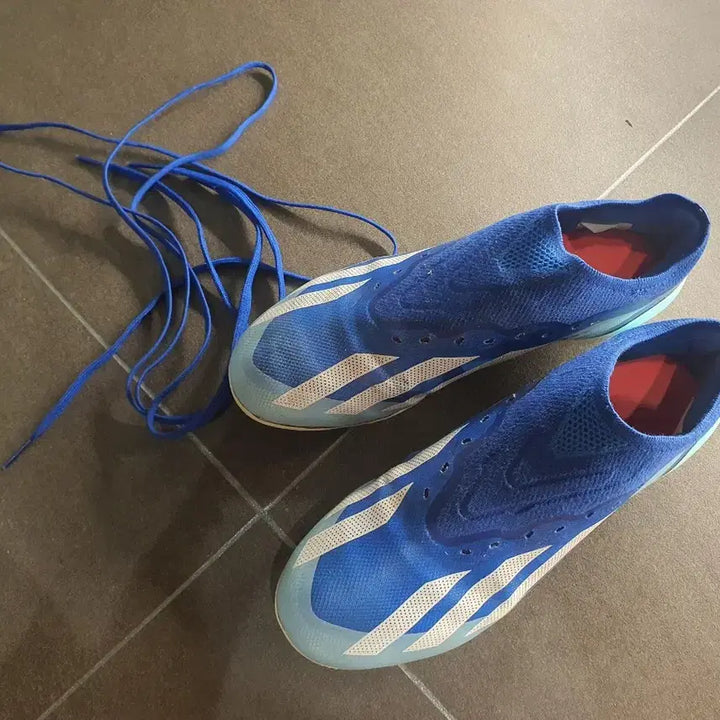 [BUNJANG] Crazy Fast HG / 크레이지패스트 hg