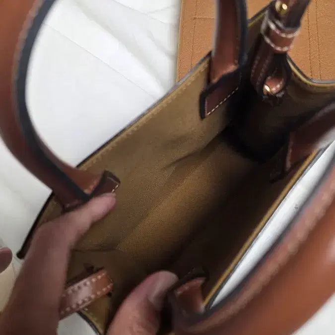 [BUNJANG] Celine Triomphe Cabas Mini Bag / 셀린느 트리오페 카바스 미니백