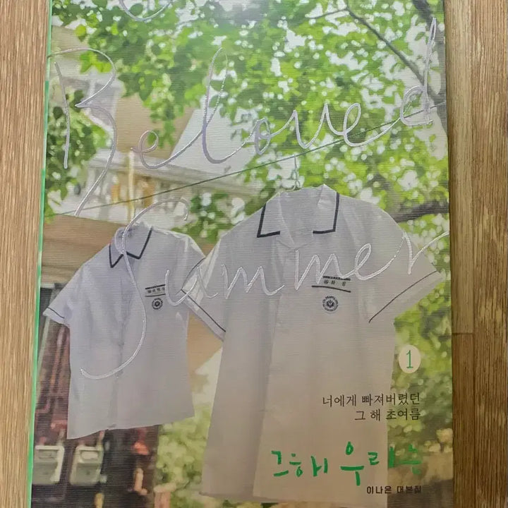 [BUNJANG] Our Beloved Summer Book 1 / 그 해 우리는 (대본집 1편)