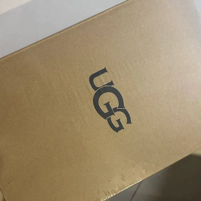 [BUNJANG] UGG Tasman 2 Chestnut Boots / 어그 타스만2 체스트넛 240 7w 미개봉