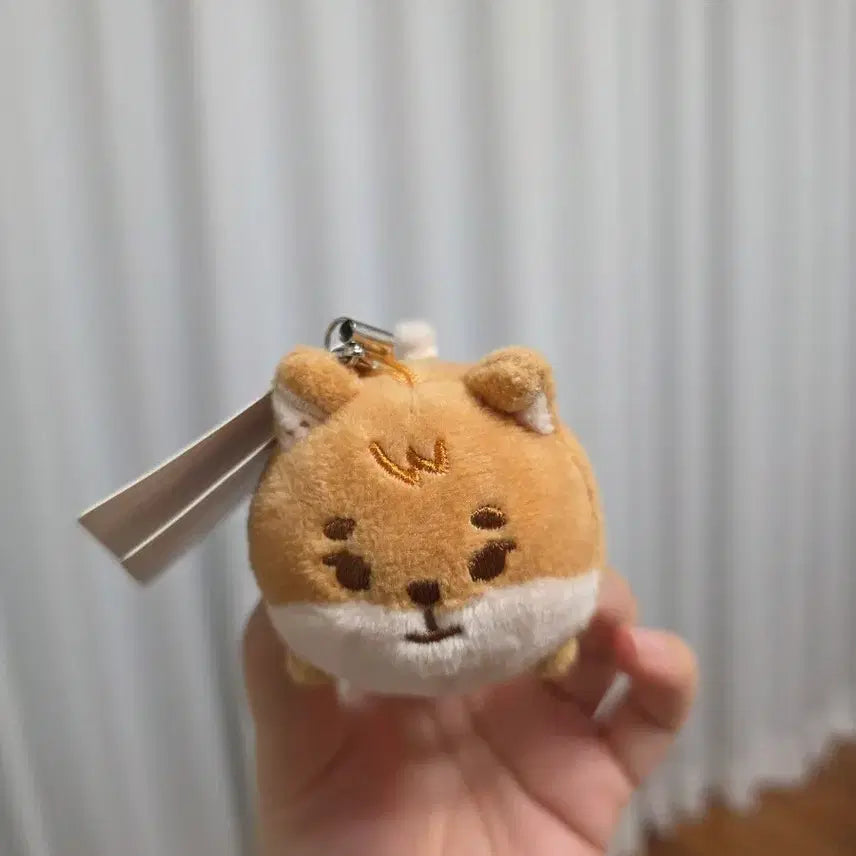 [SOLD OUT] 데이식스 쁘띠멀즈 사족보행 케