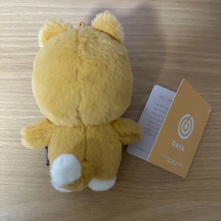 [BUNJANG] Day6 PUMMOL Case / 데이식스 쁘멀 케