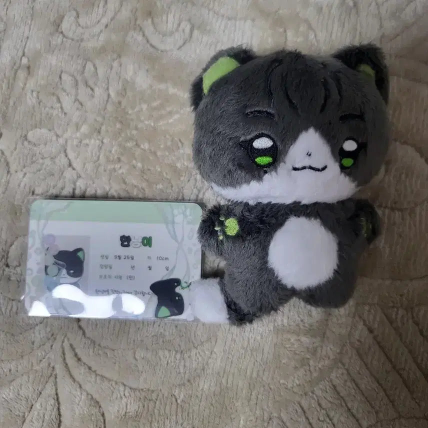 [BUNJANG] AHOF Kannyangi Doll / AHOF 아홉 박한 인형 칸냥이 양도