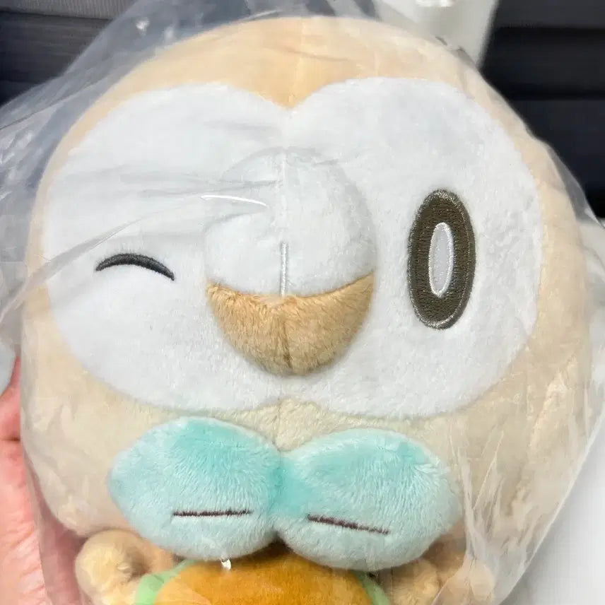 [BUNJANG] Pokemon Pocket Piece Rowlet Plushie / 택포 포켓몬 포켓피스 다이너 쿠지 C상 나몰빼미 인형