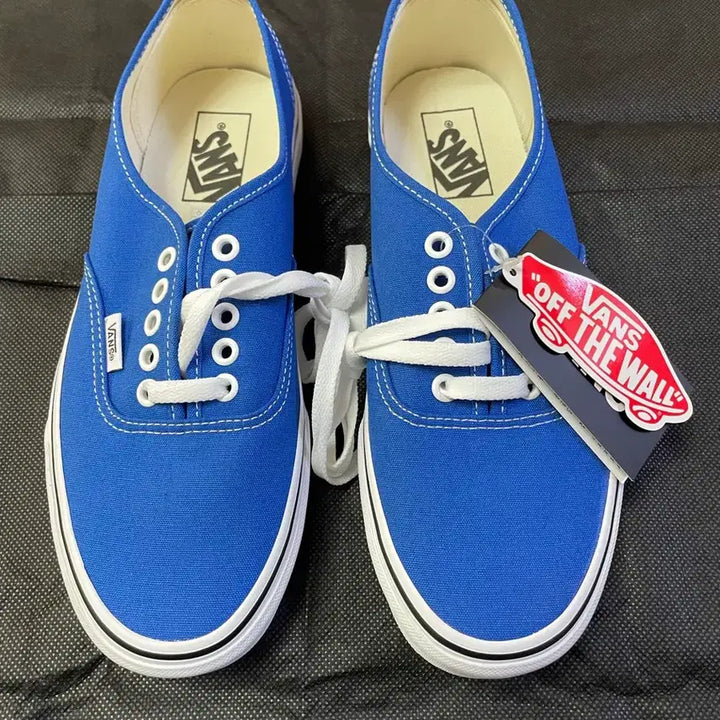 [BUNJANG] Vans Authentic Blue Sneakers / 반스 어센틱 블루 260 택달린 새상품 판매합니다!