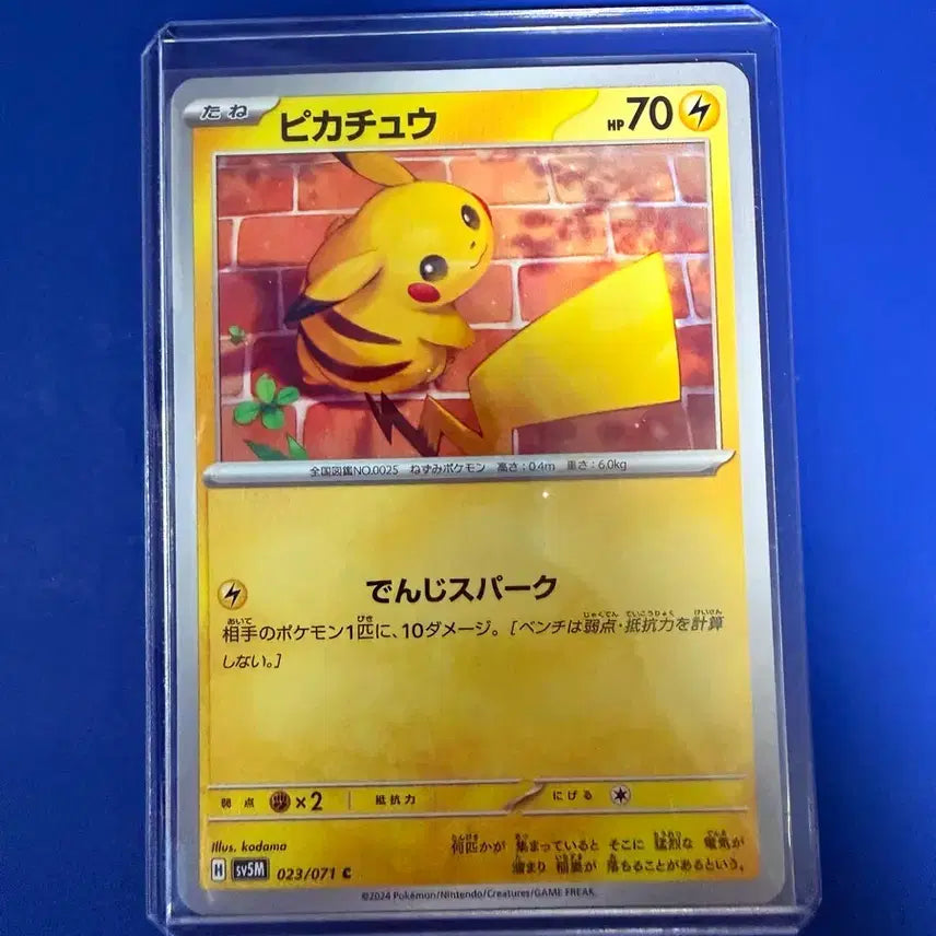 [SOLD OUT] 포켓몬카드 2024 피카츄 일판