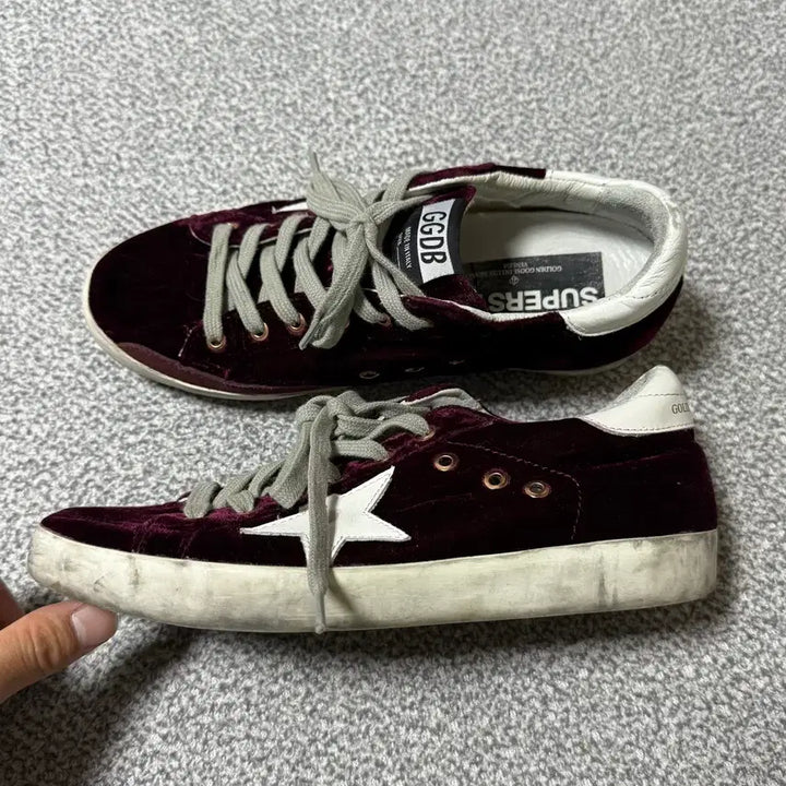 [BUNJANG] Golden Goose Velvet Sneakers / 골든구스 벨벳 스니커즈 38 240-245