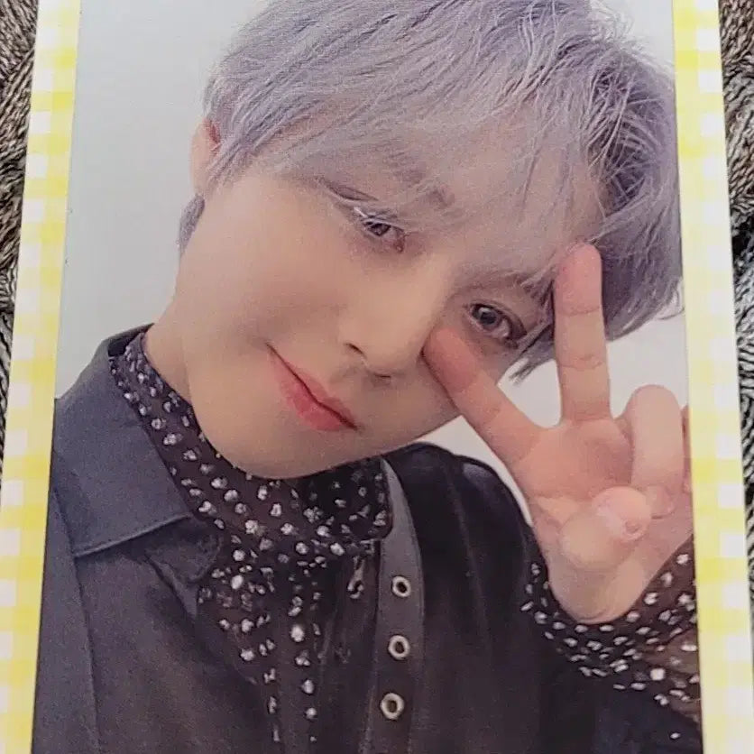 [BUNJANG] Wanna One Park Jihoon 360 Album Photocard Bundle Set / 박지훈 360 앨범 포카 및 포토매거진 일괄 판매