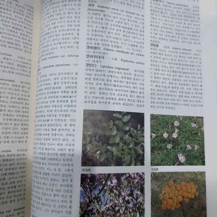 [BUNJANG] Doosan Encyclopedia Set / 두산 세계대백과사전 30권