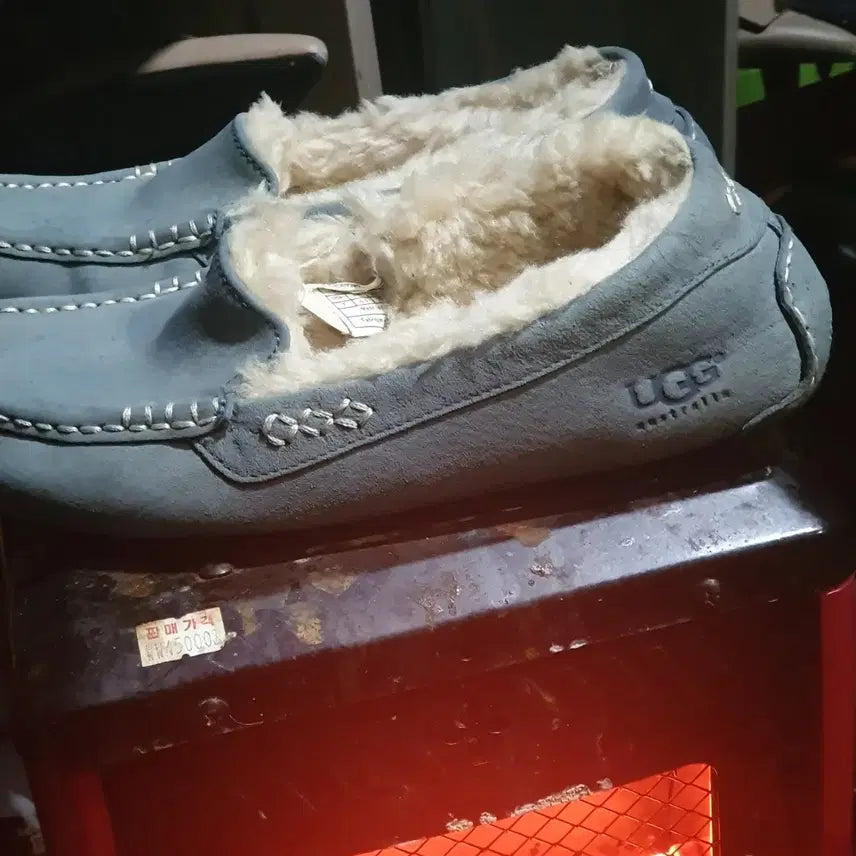 [BUNJANG] UGG Moccasin Boots, Blue, Size 240 / 어그    양털   모카신
