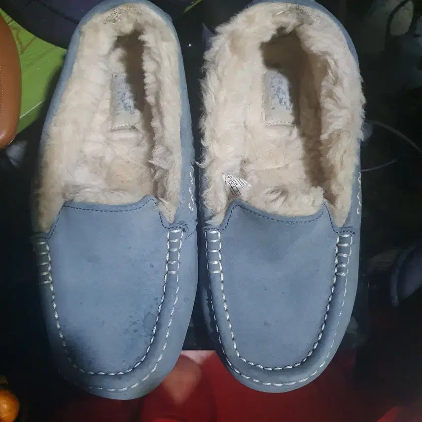 [BUNJANG] UGG Moccasin Boots, Blue, Size 240 / 어그    양털   모카신