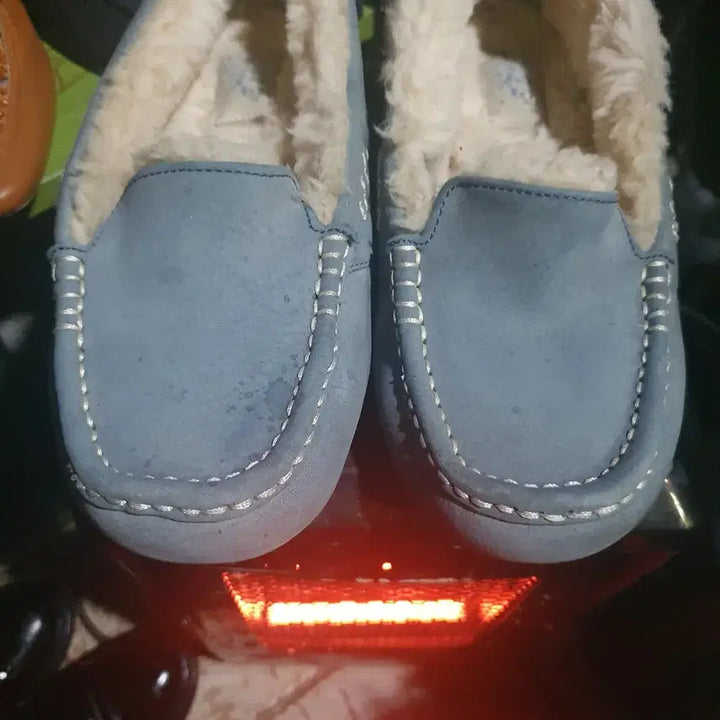 [BUNJANG] UGG Moccasin Boots, Blue, Size 240 / 어그    양털   모카신