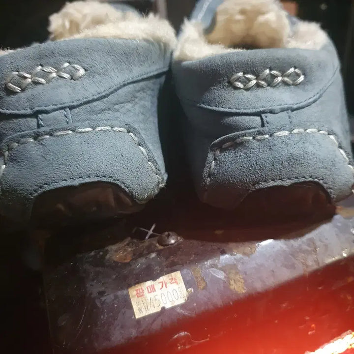 [BUNJANG] UGG Moccasin Boots, Blue, Size 240 / 어그    양털   모카신