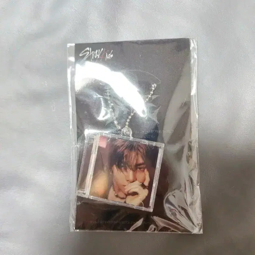 [BUNJANG] Stray Kids I.N ATE Mini CD Keyring / StrayKids(스트레이키즈) MINICD KEYRING-ATE 아이엔