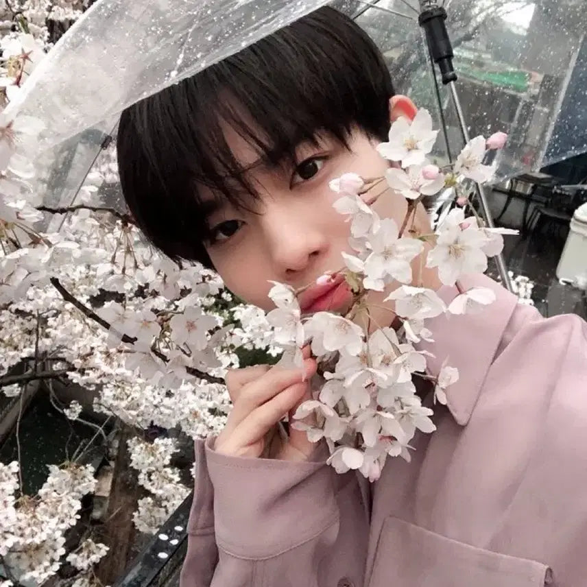 [BUNJANG] Unspecified Group Gravity Photocard / 년딥 중력 구해요 제발진짜요아니이거내꺼야내가살거야제발나아니면안됨 원페스